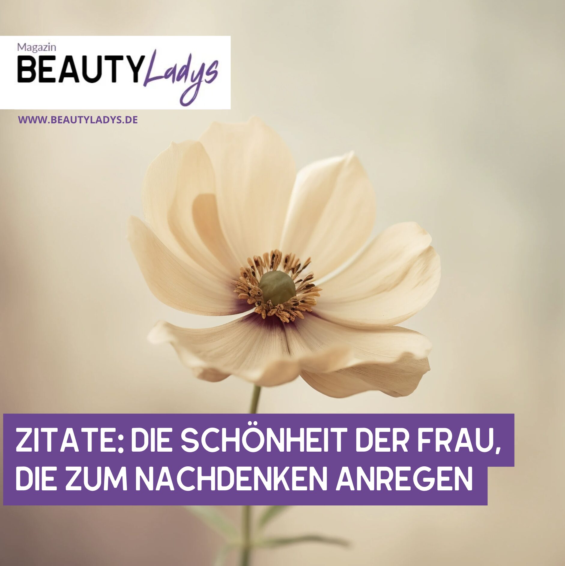 Zitate: Die Schönheit der Frau, die zum Nachdenken anregen